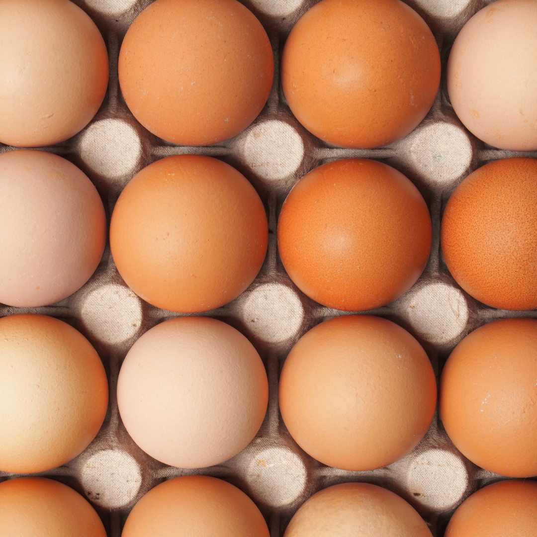 Normal Free Range Eggs 18 pack